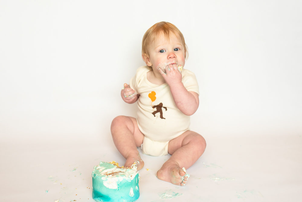 Richmond Va. cake smash milestone photo session by family photographer 