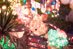 Tacky Lights RVA